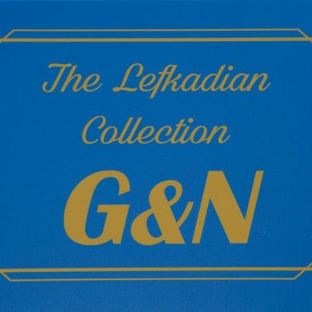 The Lefkadian Collection G And N Villa Nikiana Luaran gambar